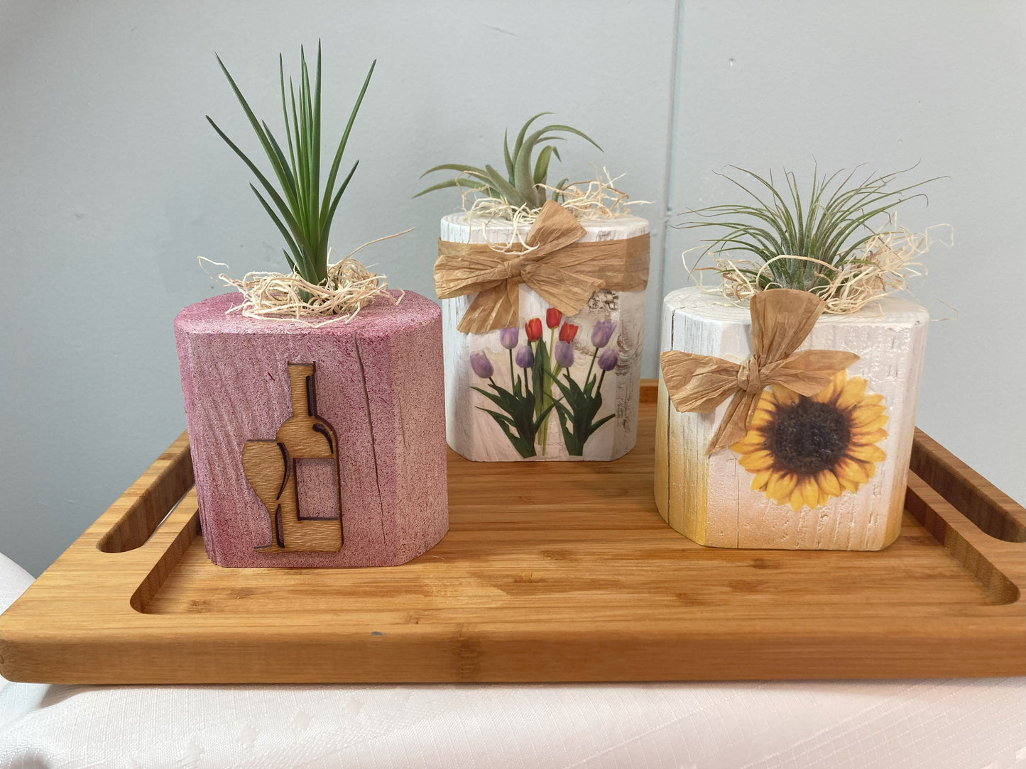 Painted/Decorated Air Plant Holders