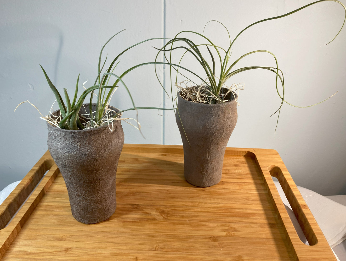 Faux Stone Air Plant Holder
