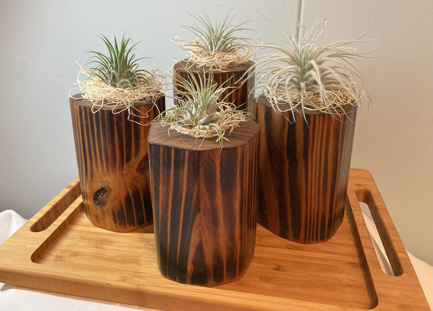 Burnt Wood Air Plant Holders