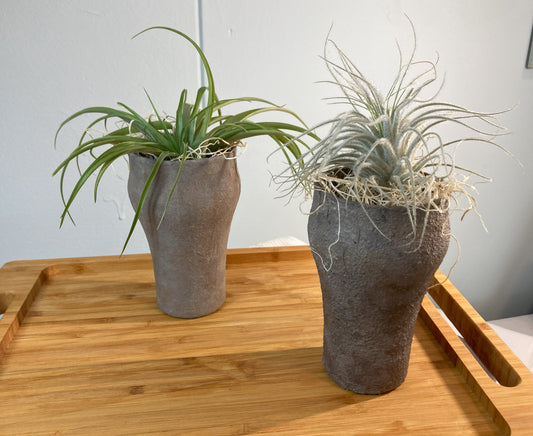Faux Stone Air Plant Holder