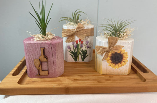 Painted/Decorated Air Plant Holders